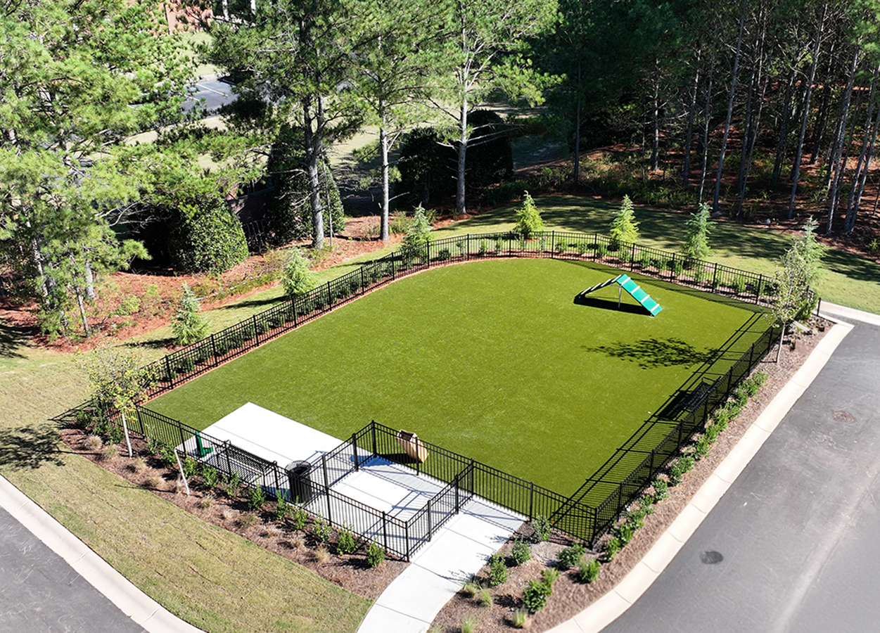 Future Dog Park-image